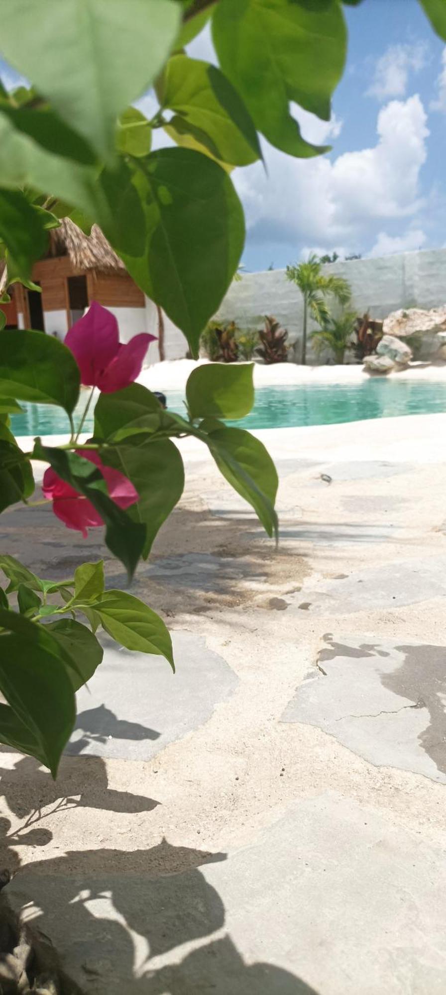 Blue Beach Eco-Hotel By Sanfabini Bayahibe Exterior foto